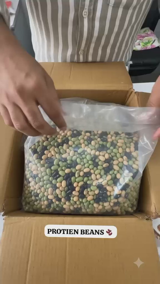 PROTEIN BEANS (ROASTED)